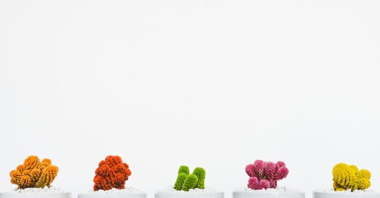 Boost Your Confidence With Easy Beauty Tips